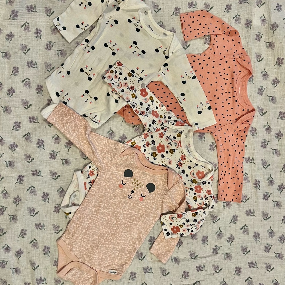 4- 6-9 Month Gerber Onesies Pink Floral